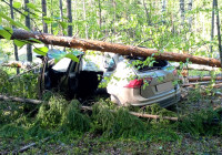 Аварийный автомобиль в кювете.
