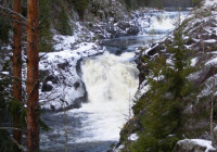 кивач_осень