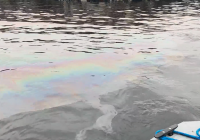 Ладожское озеро нефтепродукты
