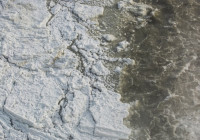 Лед водоема