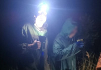 Спасение в лесу