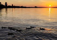 Лето на набережной