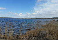 Озеро в Карелии