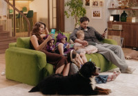 дружная семья