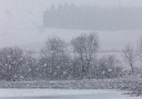 Снежный шторм