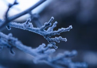 Морозная зима