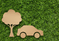 газон_парковка_трава_путешествие