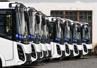 Новые автобусы в Петрозаводске