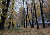 Осень в городе