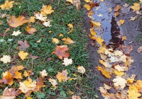 Осень в городе