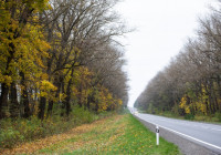 дорога