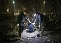 Аварийная служба, канализационные колодцы