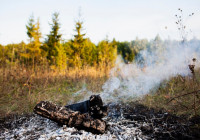 лесной пожар