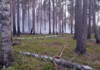 Комиссия по ликвидации пожаров