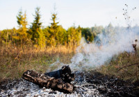 лесной пожар