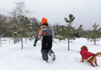 ребенок с собакой
