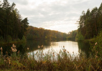 река