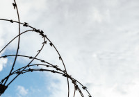 проволока_граница