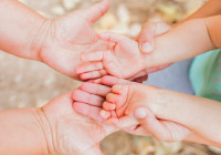 семья и дети