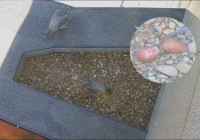 гнездо сапсанов