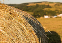 заготовка_сена