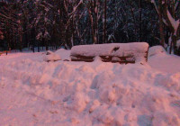 скамейка в парке