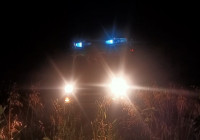 Спасатели вывели из леса