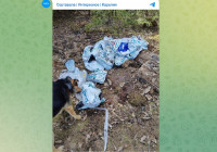 свалка отходов