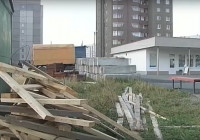 Древлянка