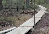 Тропа здоровья