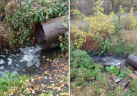 труба_Кондпожский_район