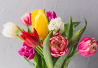 букет тюльпаны