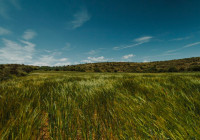 участок земли