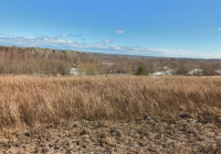 участок земли