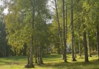 Зона отдыха