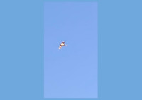 Первые лебеди в небе Карелии