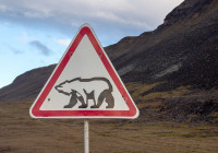 Знак "Осторожно, медведи!"