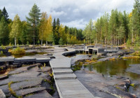 Залавруга Беломорские петроглифы