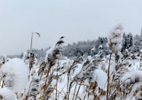 Зима в Карелии