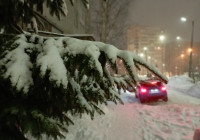 Зима в городе