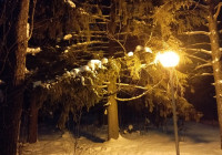 Зима в городе