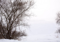 зимний день