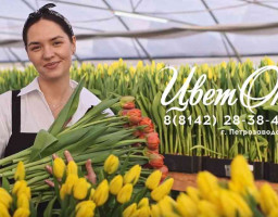 девушка с тюльпанами