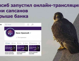 сапсаны уралсиба