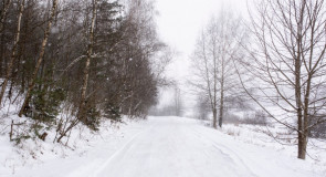 снег на дороге