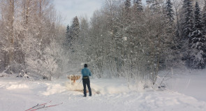 зимние Фонтаны