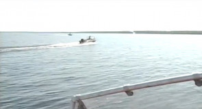 браконьеры
