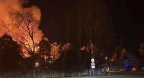 Горел заброшенный детский сад