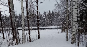 Берег реки Шуи в Салменице