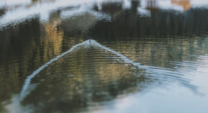 водоем